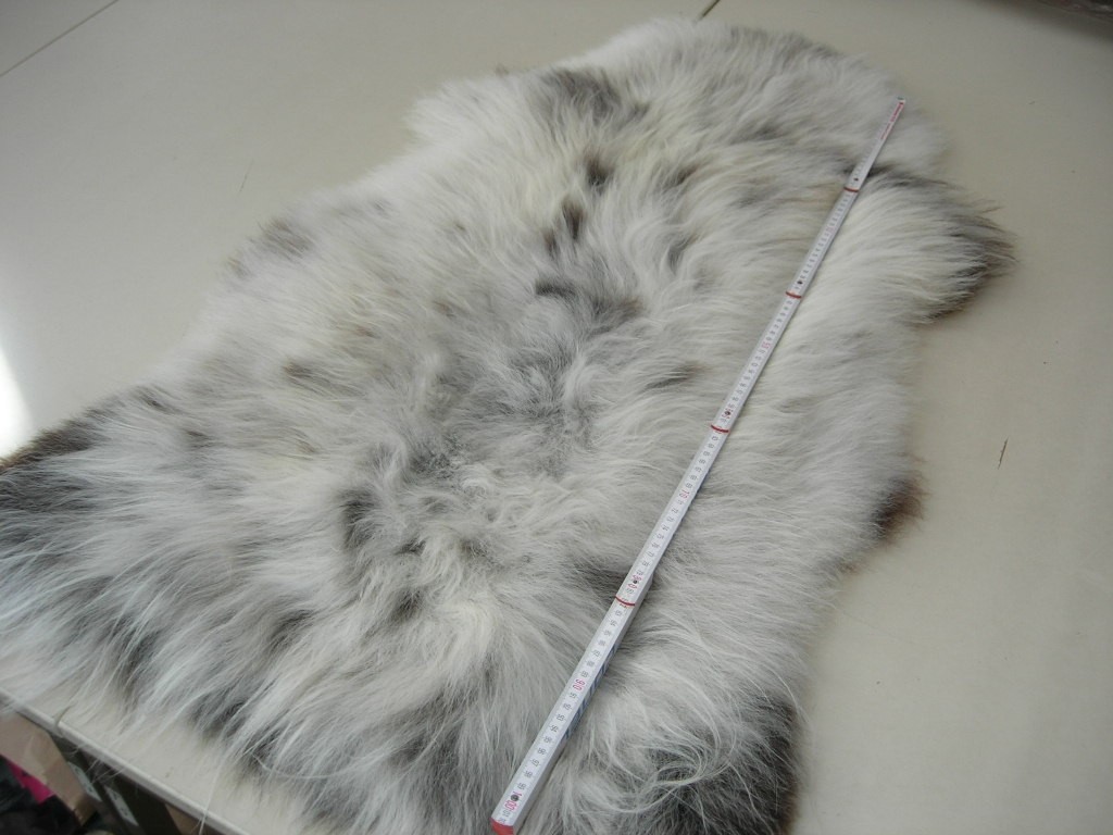 Nordlandschaf Islandfell naturbunt (Z2335/1) ca.8 cm Haarlänge. 