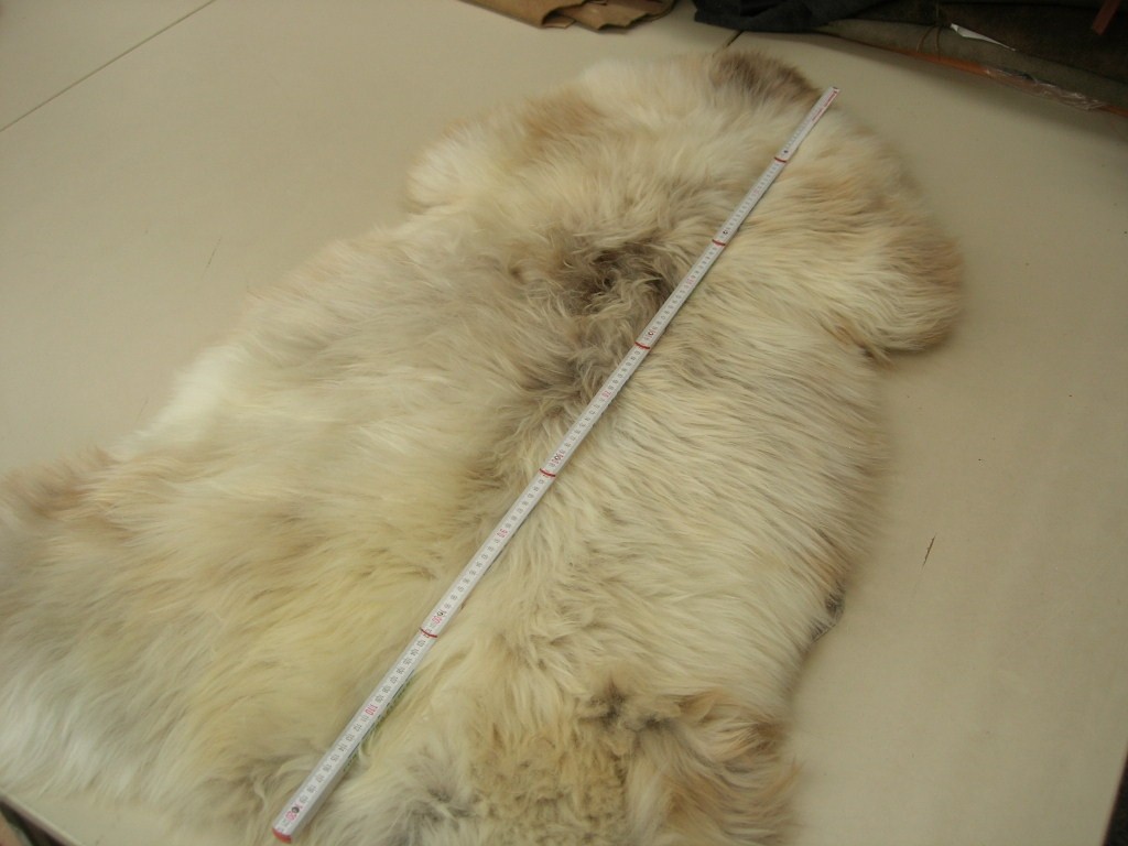 Nordlandschaf Islandfell naturbunt (Z234250/8) ca.12 cm Haarlänge. Ausverkauft