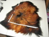 Nordlandschaf Islandfell naturschwarz mit gebleichten Spitzen (Z214495S1) ca.15 cm Haarlänge. Ausverkauft